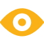 vision 5